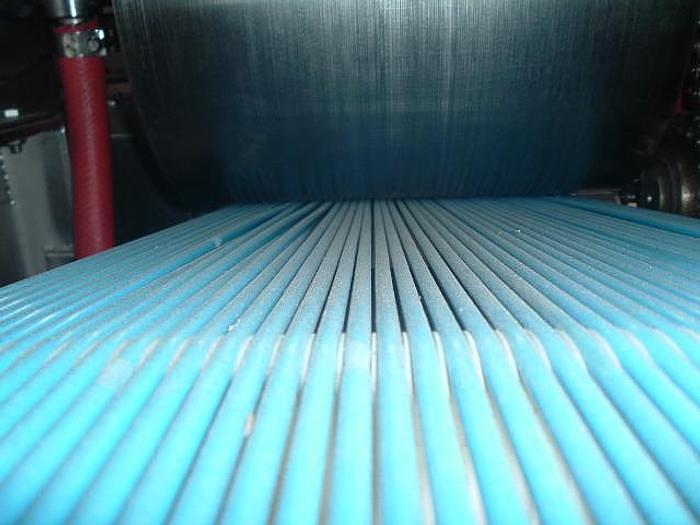 Used Trio FDS 104 Skinning Machine