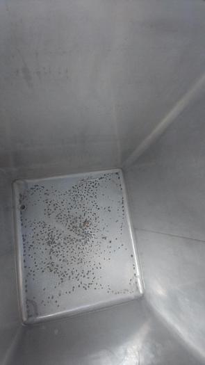 Used Tank, 550 Gallon, 316 Stainless Steel, Tote, #5991027