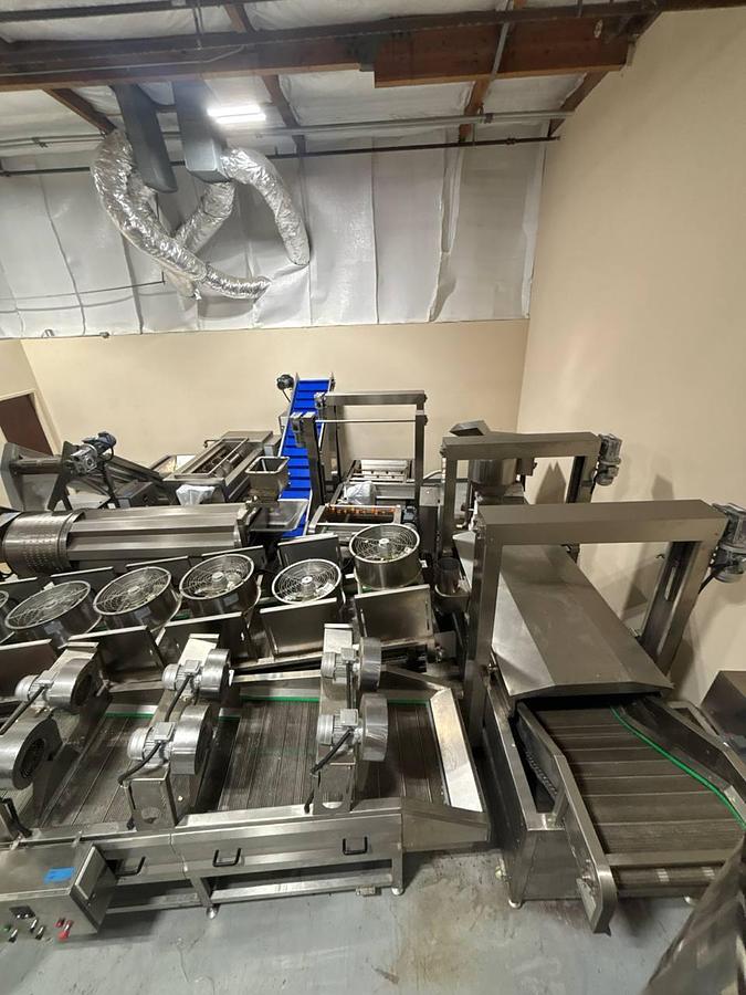 Used Fryer, Potato Chip Production Line, 100 KG/H. #5992005