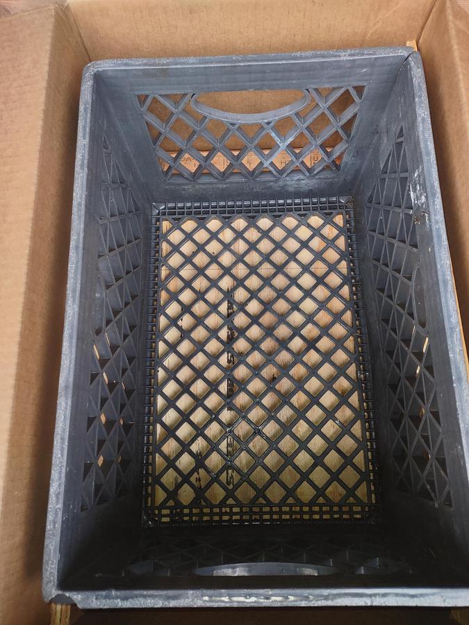 Used Pump, Positive, Rotary Lobe, Fristam FDS1-4, 10 HP, 2" In/Out, VFD Drive, #5991416