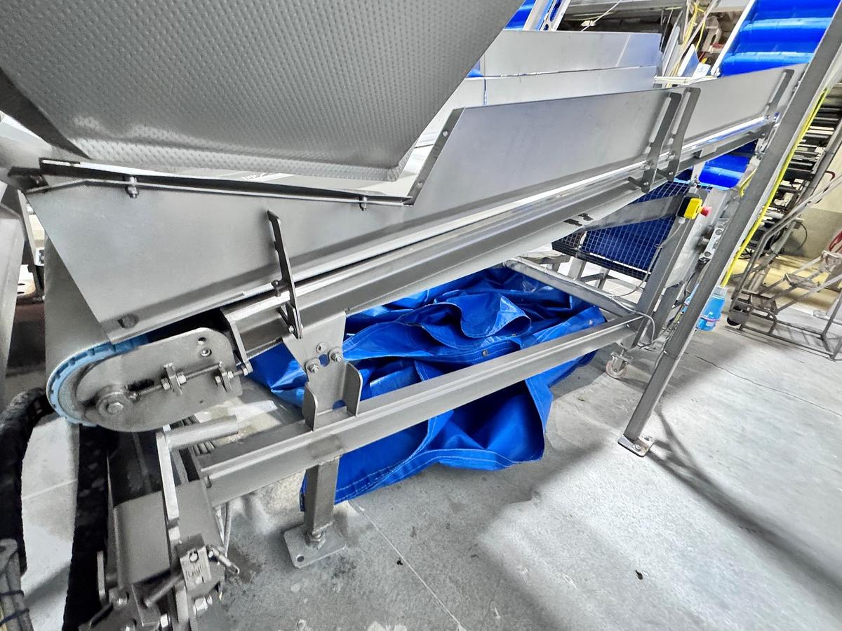 Used Conveyor, Belt, FTNON, 36" Wide x 12' Long, Stainless Steel, Incline, #5992002