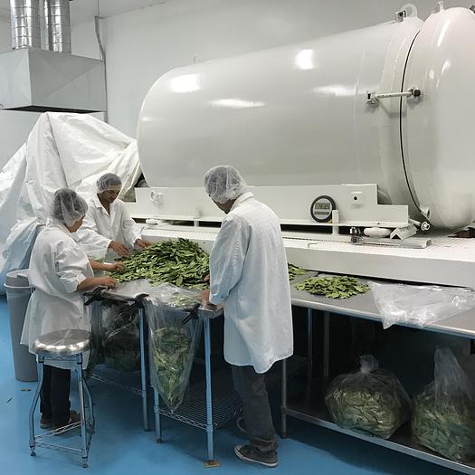 Used Dryer, Tray, Dehydrator, 5’ x 20’, Stainless Steel #5275052