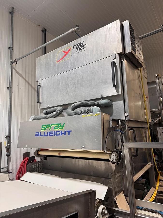 Used Sorter, Color, Raytec Vision, Spray S-250K, Optical Sorting System, #5991863