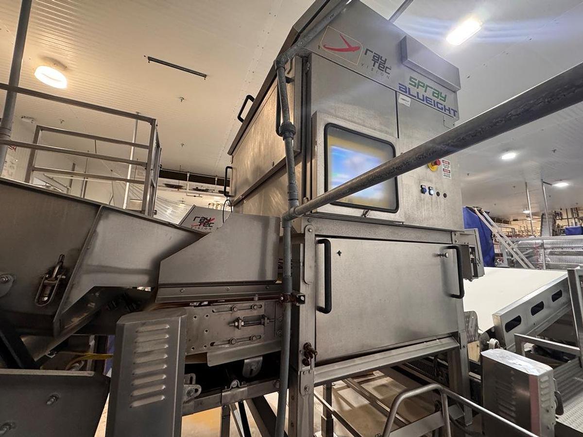 Used Sorter, Color, Raytec Vision, Spray S-250K, Optical Sorting System, #5991863