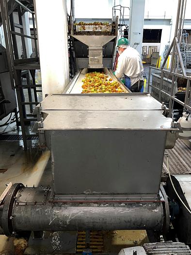 Used Fruit Washer, Lyco, Floodwasher, Receiving, Washing, Chopping - #4494882