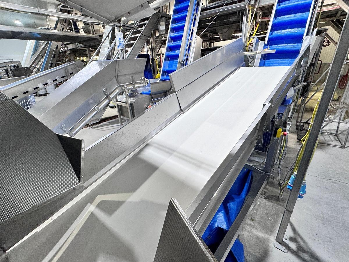 Used Conveyor, Belt, FTNON, 36" Wide x 12' Long, Stainless Steel, Incline, #5992002
