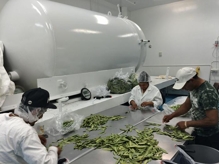 Used Dryer, Tray, Dehydrator, 5’ x 20’, Stainless Steel #5275052