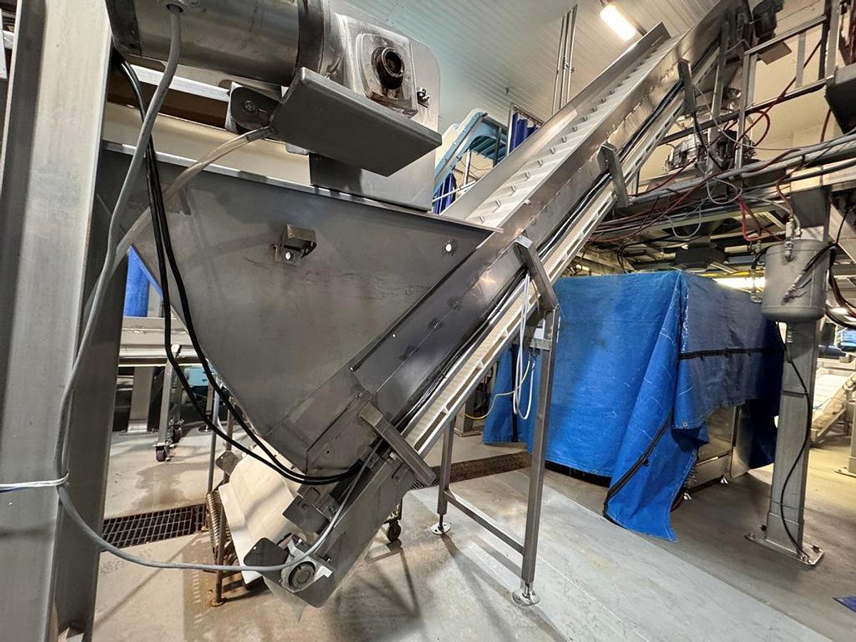 Used Filling Line, Bag, Ishida Combination Scale, Bosch SV 3800 Bagger, Elevator, Produce, #5991861