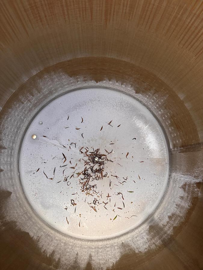 Used Tank, 375 Gallon, 304 Stainless Steel, Jacketed Fermenter, Criveller, Cone Bottom, #5991399