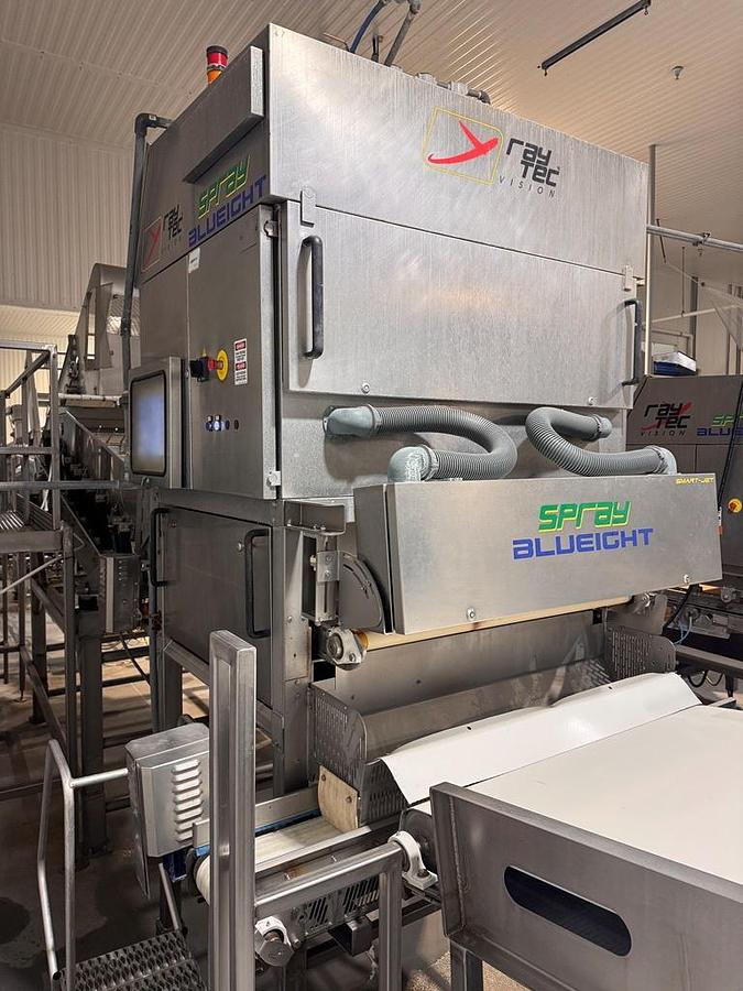 Used Sorter, Color, Raytec Vision, Spray S-250K, Optical Sorting System, #5991863