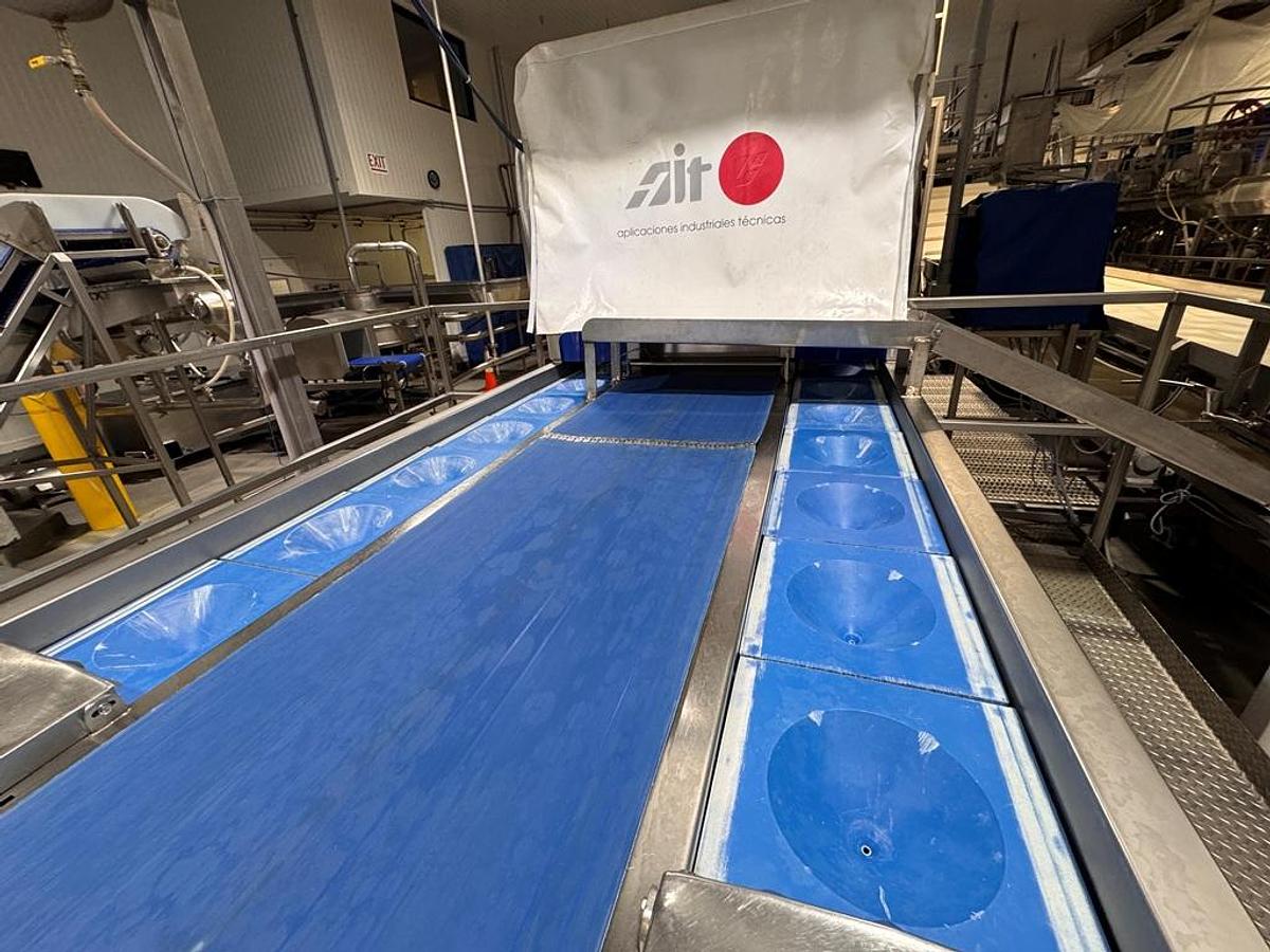 Used Corer, AIT, Model Polux2, Dual Side Pocket Conveyors, Cauliflower #5991843