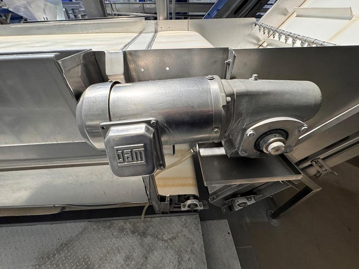 Used Conveyor, Belt, Inspection, 48" x 24", (3) operator stations per side, Stainless, #5991851