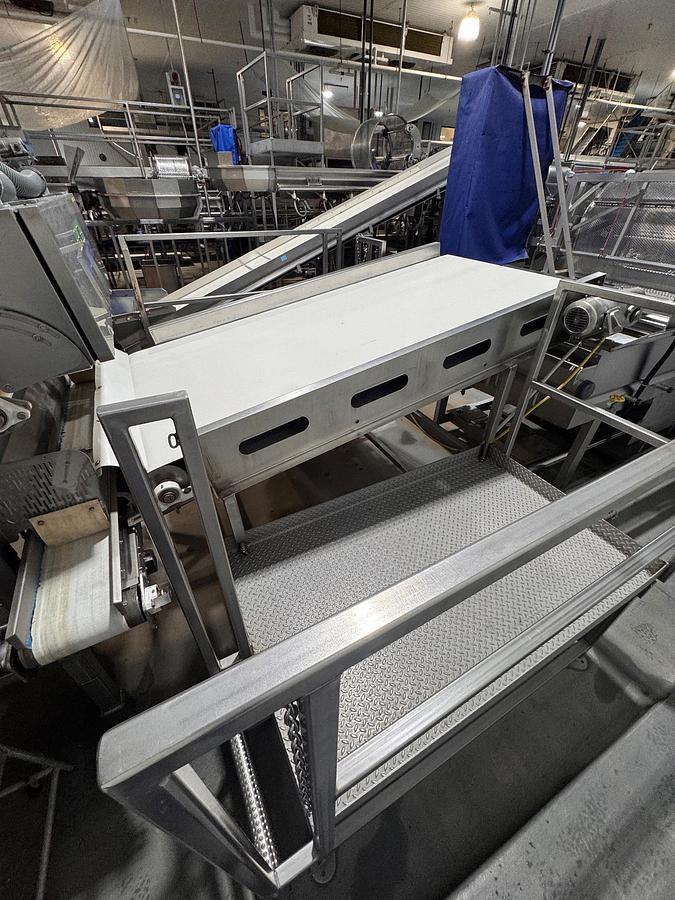 Used Conveyor, Belt, 48" Wide x 8' Long, Stainless Steel, Inspection, 5992001