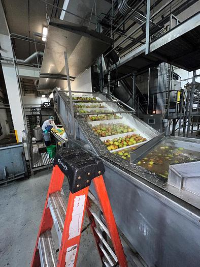 Used Fruit Washer, Lyco, Floodwasher, Receiving, Washing, Chopping - #4494882