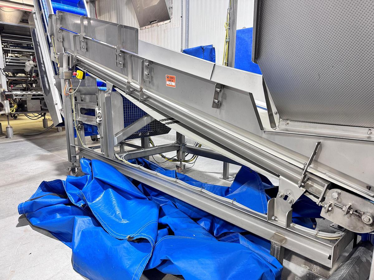 Used Conveyor, Belt, FTNON, 36" Wide x 12' Long, Stainless Steel, Incline, #5992002