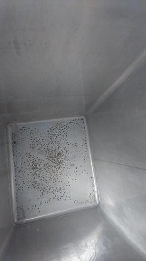 Used Tank, 550 Gallon, 316 Stainless Steel, Tote, #5991027