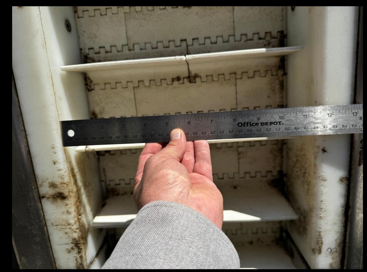 Used Conveyor, Belt, 11.75” x 12’, Incline, VWM, Cleated Belt, Stainless Steel, #5991417