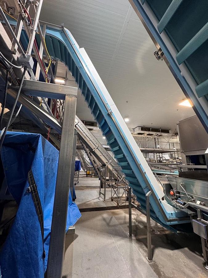 Used Filling Line, Bag, Ishida Combination Scale, Bosch SV 3800 Bagger, Elevator, Produce, #5991861