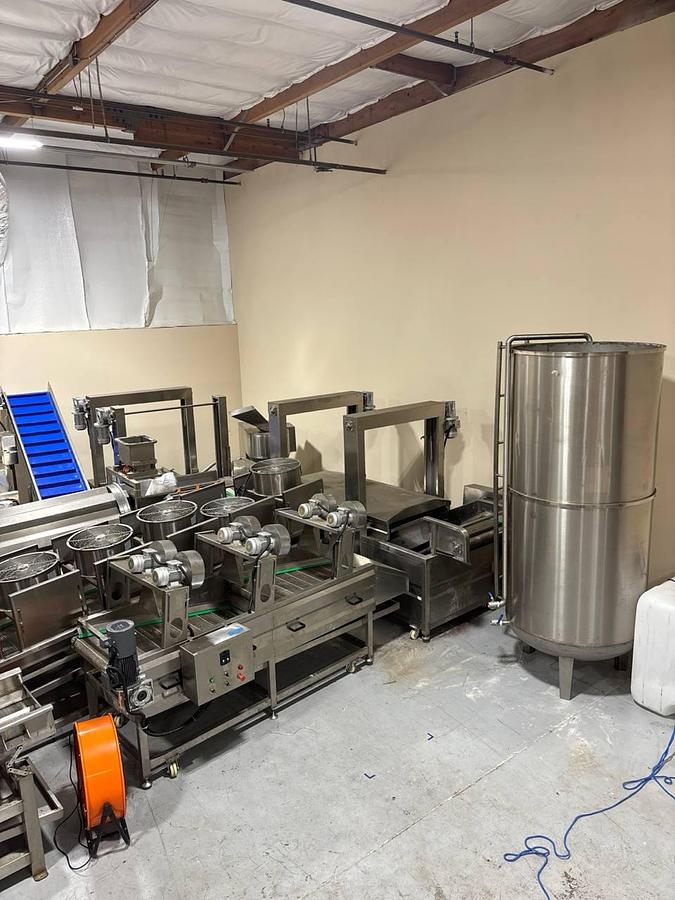 Used Fryer, Potato Chip Production Line, 100 KG/H. #5992005