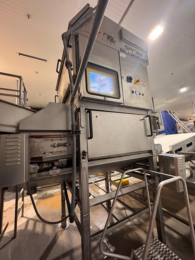 Used Sorter, Color, Raytec Vision, Spray S-250K, Optical Sorting System, #5991863
