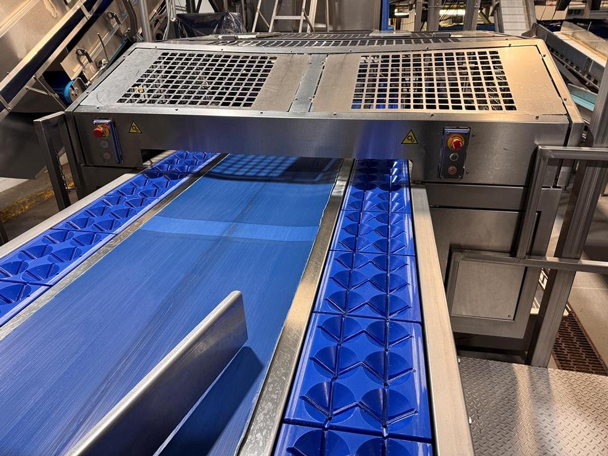 Used Corer, AIT, Re-Floretor, Dual Side Pocket Conveyors, Cauliflower #5991846
