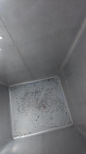 Used Tank, 550 Gallon, 316 Stainless Steel, Tote, #5991027