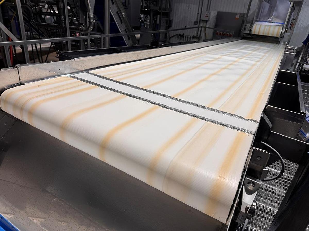 Used Conveyor, Belt, Inspection, 48" x 24", (3) operator stations per side, Stainless, #5991851