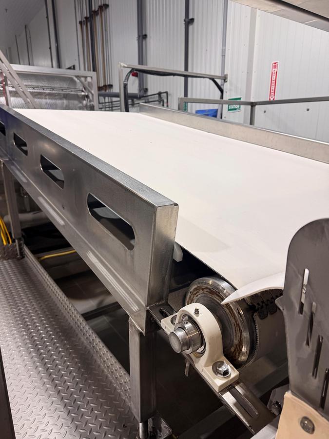 Used Conveyor, Belt, 48" Wide x 8' Long, Stainless Steel, Inspection, 5992001