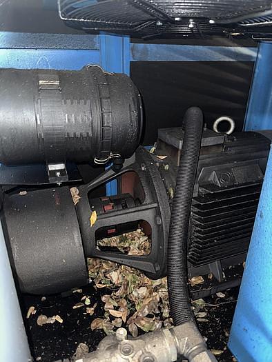 Used Compressor, Air, 100 HP, 440 CFM, 100 PSI, US Air Compressor, Screw, #5991331