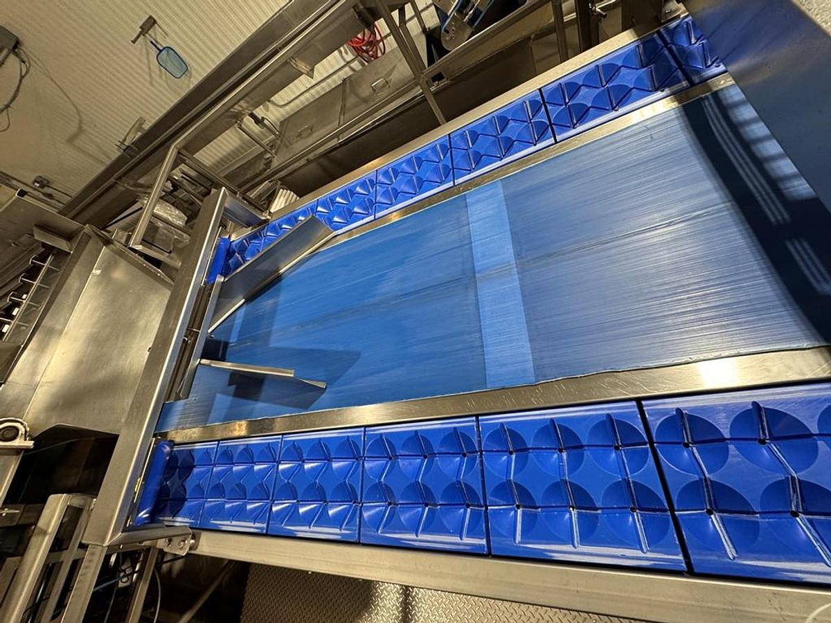 Used Corer, AIT, Re-Floretor, Dual Side Pocket Conveyors, Cauliflower #5991846
