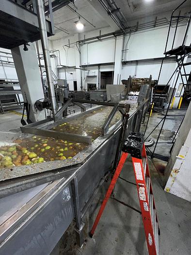 Used Fruit Washer, Lyco, Floodwasher, Receiving, Washing, Chopping - #4494882