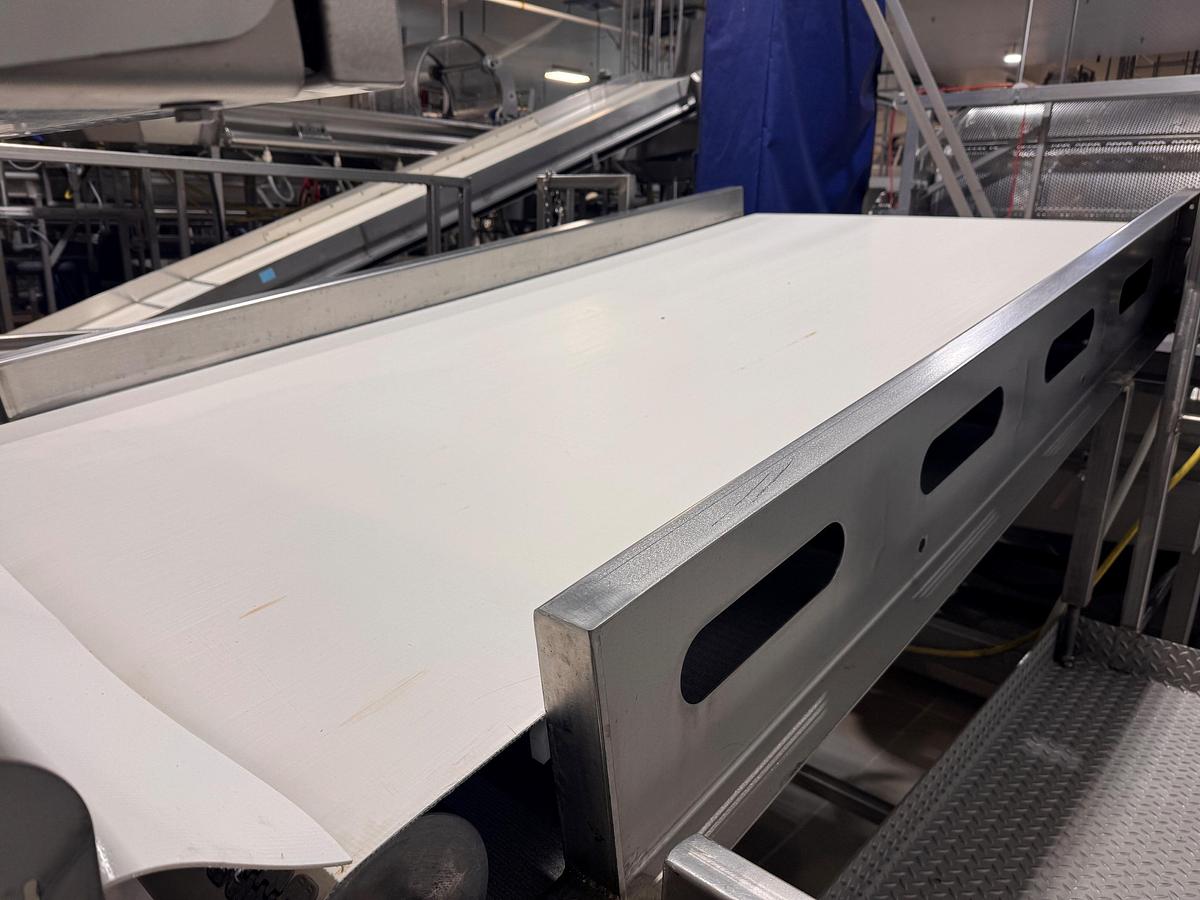 Used Conveyor, Belt, 48" Wide x 8' Long, Stainless Steel, Inspection, 5992001