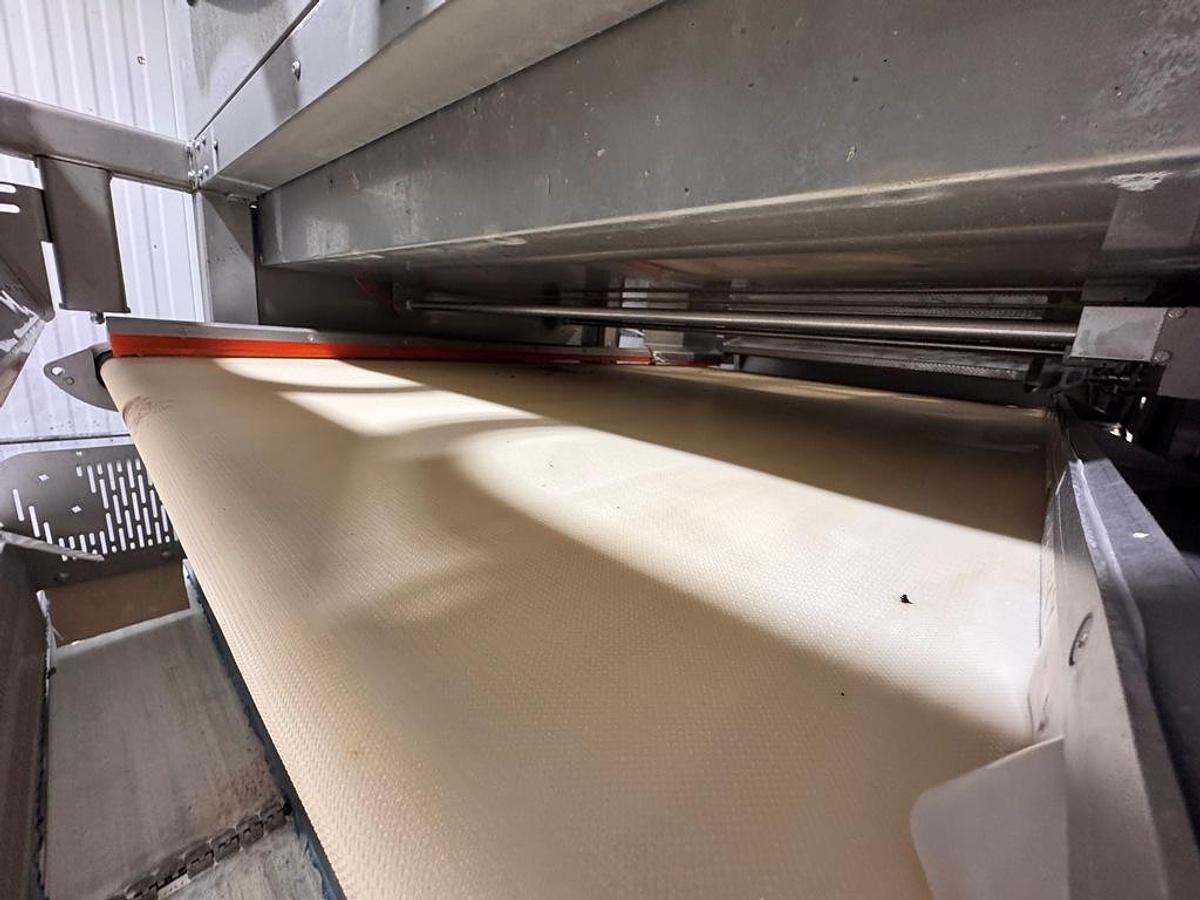 Used Sorter, Color, Raytec Vision, Spray S-250K, Optical Sorting System, #5991863
