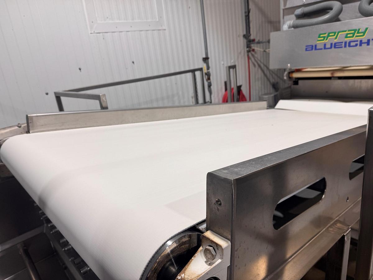 Used Conveyor, Belt, 48" Wide x 8' Long, Stainless Steel, Inspection, 5992001
