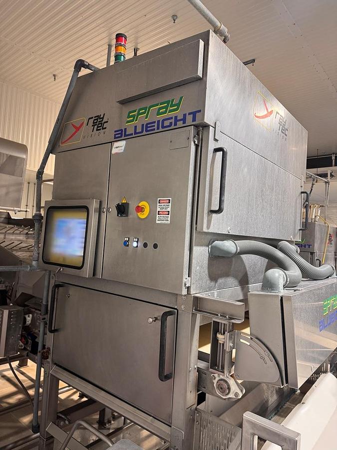 Used Sorter, Color, Raytec Vision, Spray S-250K, Optical Sorting System, #5991863