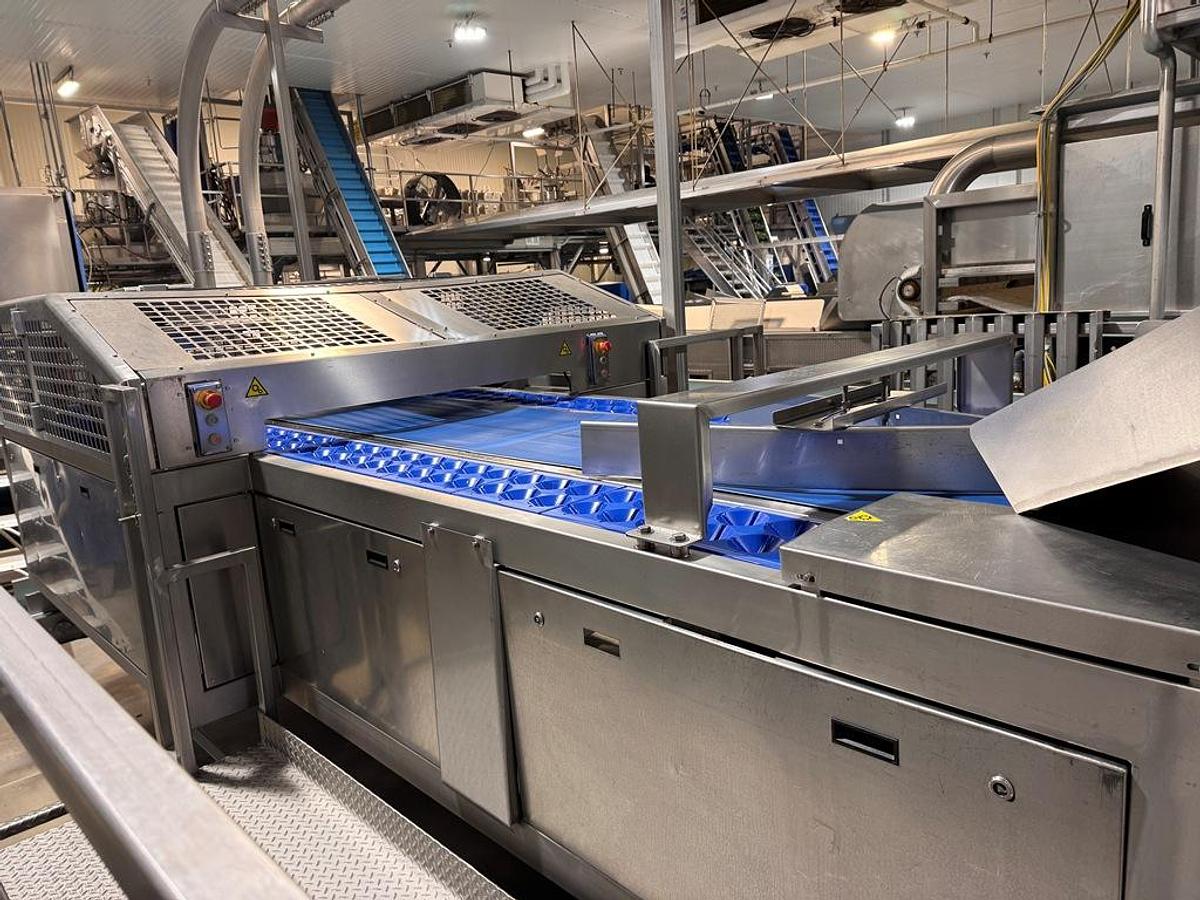 Used Corer, AIT, Re-Floretor, Dual Side Pocket Conveyors, Cauliflower #5991846