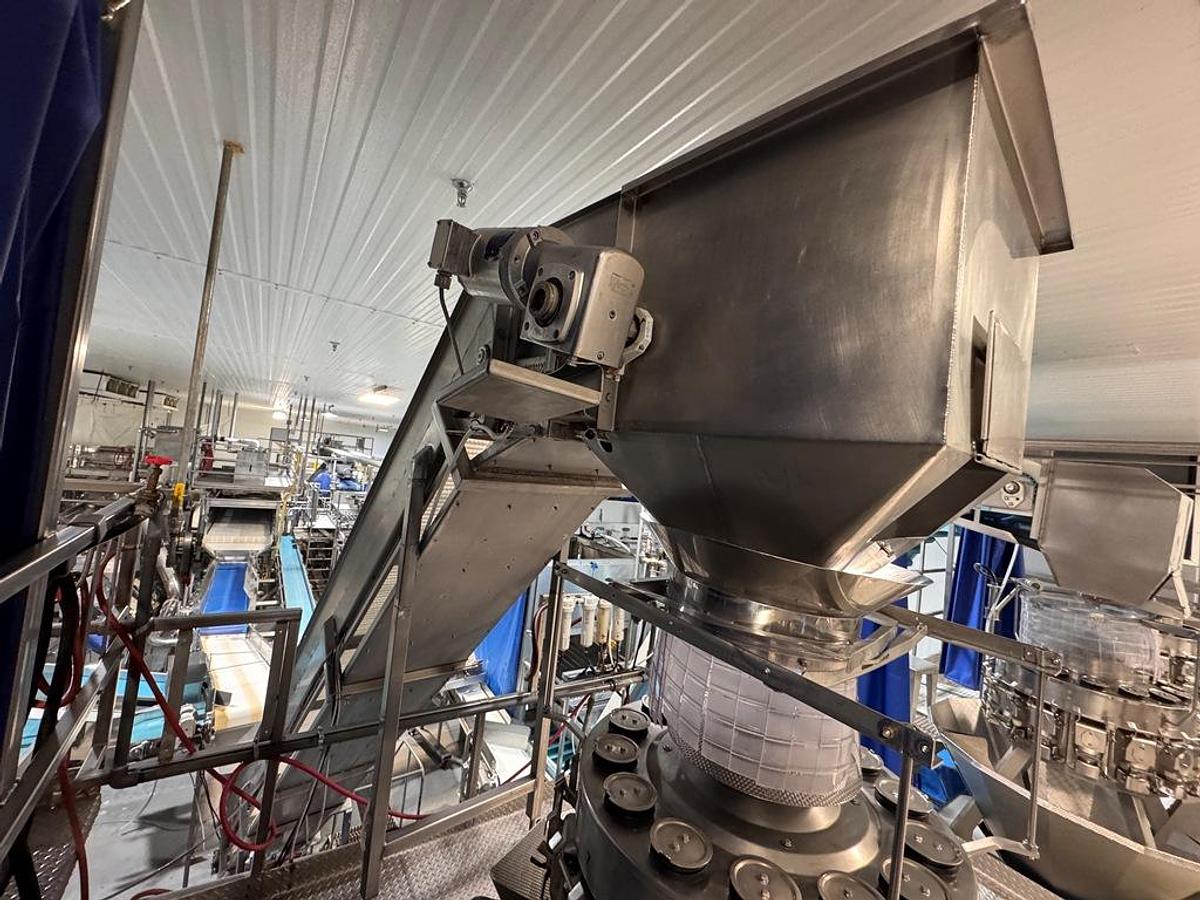 Used Filling Line, Bag, Ishida Combination Scale, Bosch SV 3800 Bagger, Elevator, Produce, #5991861