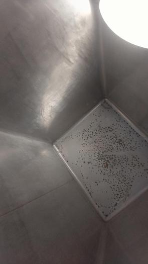 Used Tank, 550 Gallon, 316 Stainless Steel, Tote, #5991027