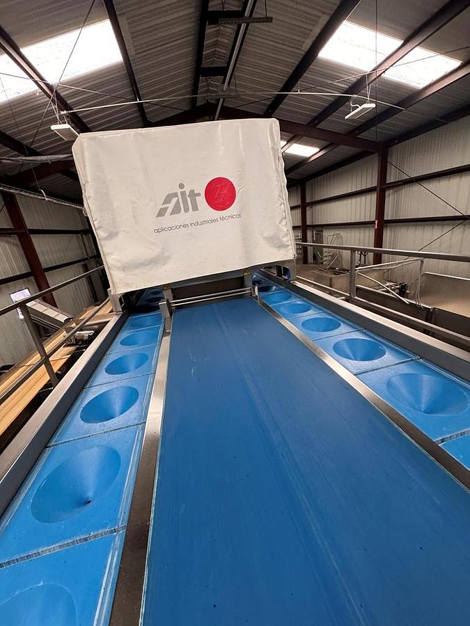 Used Corer, AIT, Floretor, Dual Side Pocket Conveyors, Broccoli, Complete System #5991869