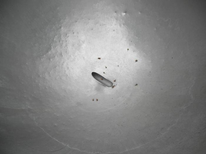 Used Kettle, 80 Gallon, S/st, Jkt, Legion, Mdl LGB-80, #S740977