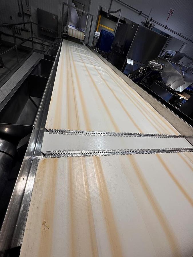 Used Conveyor, Belt, Inspection, 48" x 24", (3) operator stations per side, Stainless, #5991851