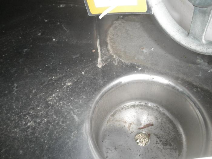 Used Tank, 1,550 Gallon, S/st, 78" X 86", #S738679