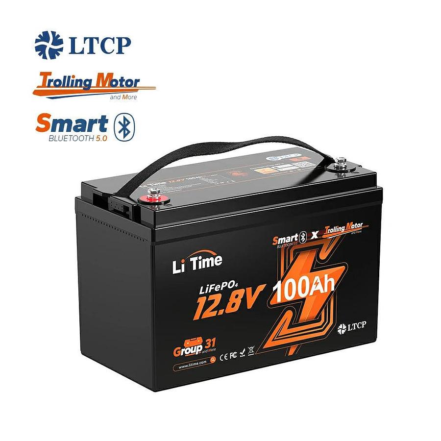 12V 100Ah TM Smart