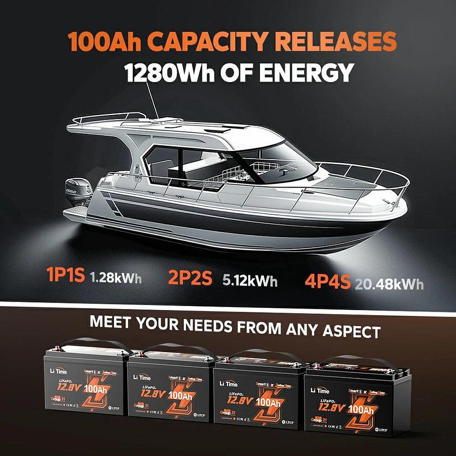 12V 100Ah TM Smart
