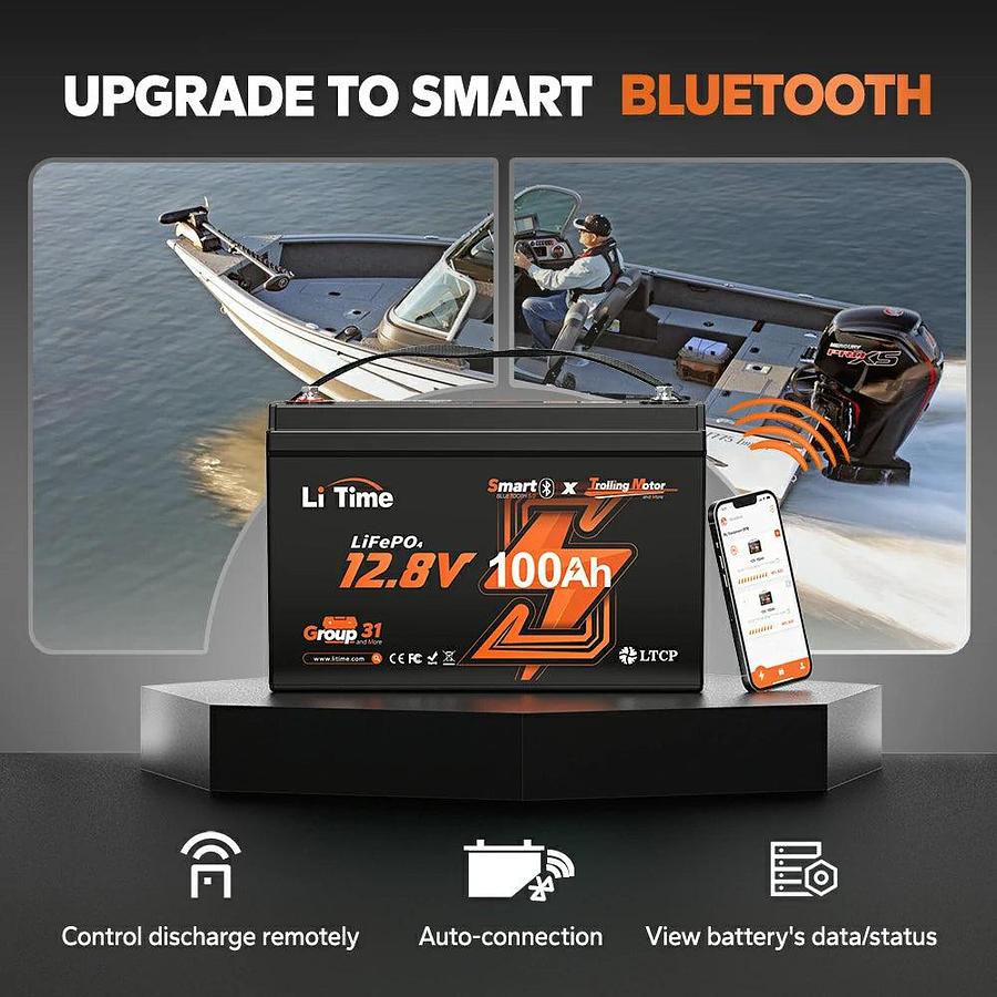 12V 100Ah TM Smart