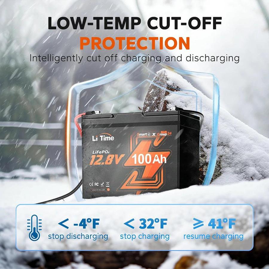 12V 100Ah Group 24 Smart