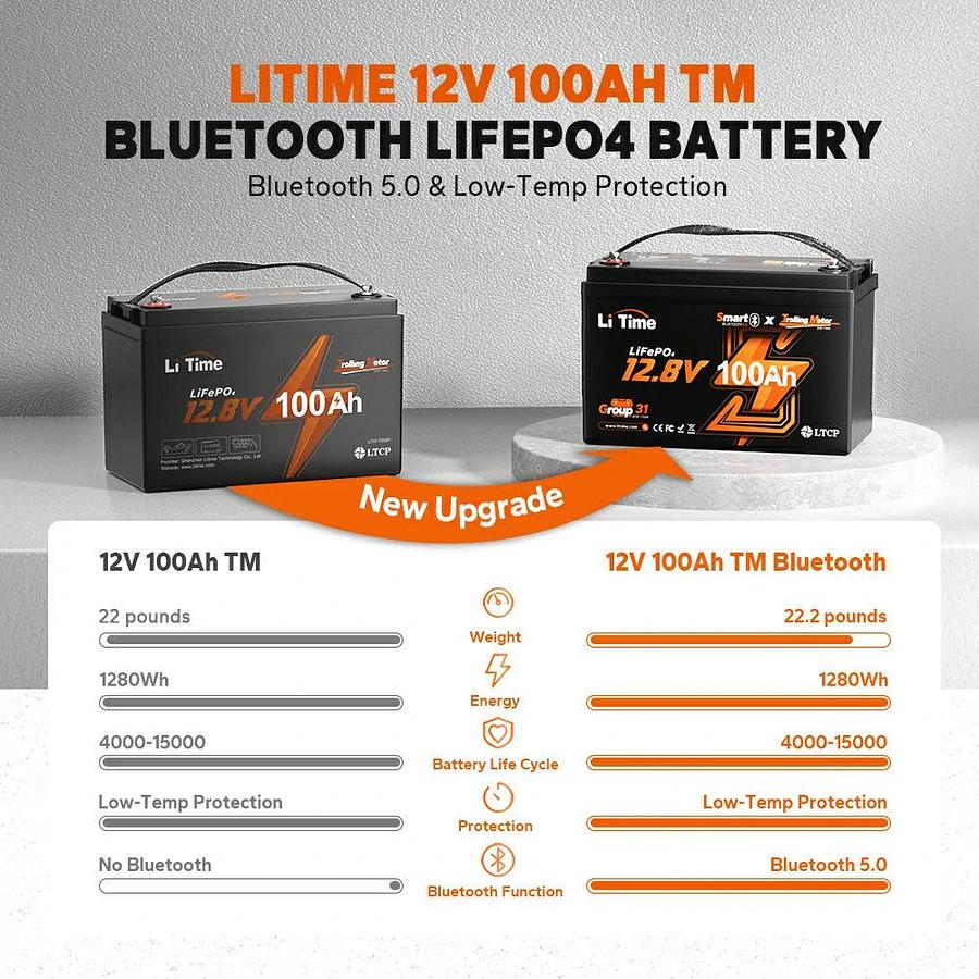 12V 100Ah TM Smart