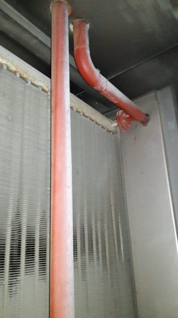 Used Forno di essicazione marca Vanicek da 70 mc utili