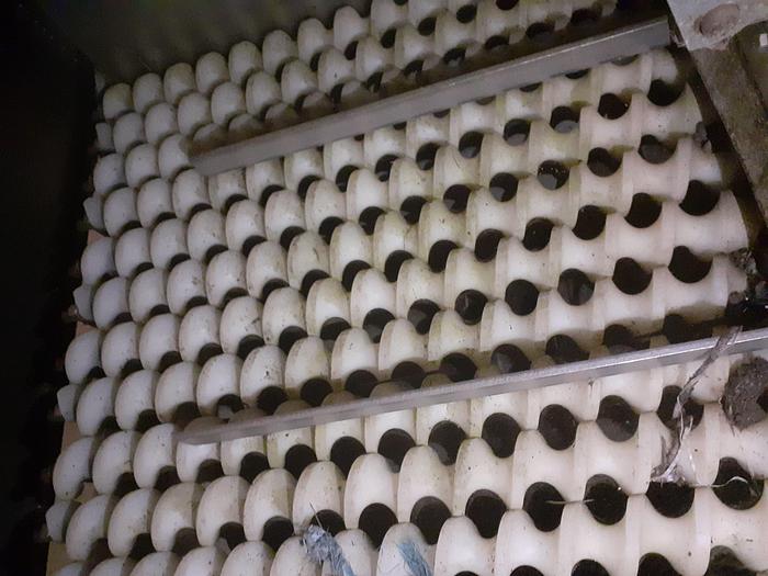 Usado Sistema de limpeza e pesagem de azeitona SAFI COM8