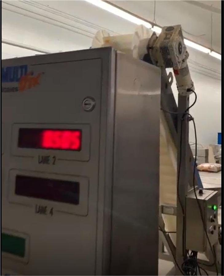 Used Used WeighPack Paxium Dual Lane Bulk Net Weight Filler with Feeding System